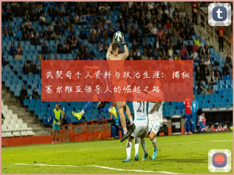 武契奇个人资料与政治生涯：揭秘塞尔维亚领导人的崛起之路