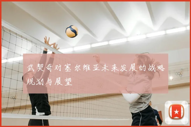 武契奇对塞尔维亚未来发展的战略规划与展望