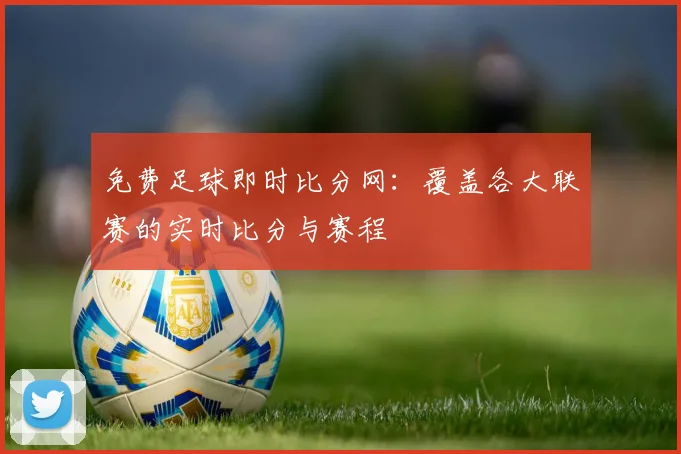 免费足球即时比分网：覆盖各大联赛的实时比分与赛程