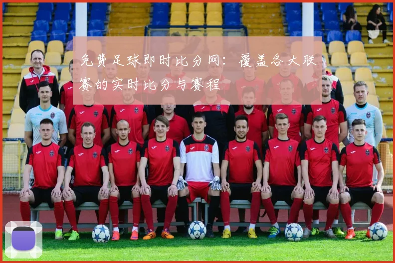 免费足球即时比分网：覆盖各大联赛的实时比分与赛程