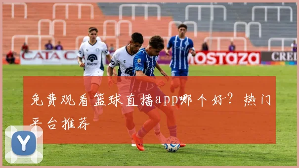 免费观看篮球直播app哪个好？热门平台推荐