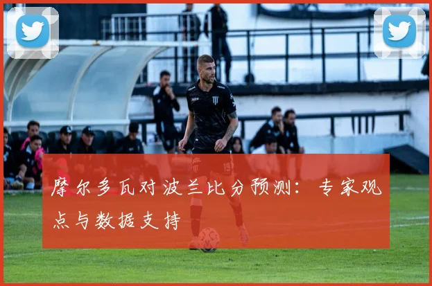 摩尔多瓦对波兰比分预测：专家观点与数据支持
